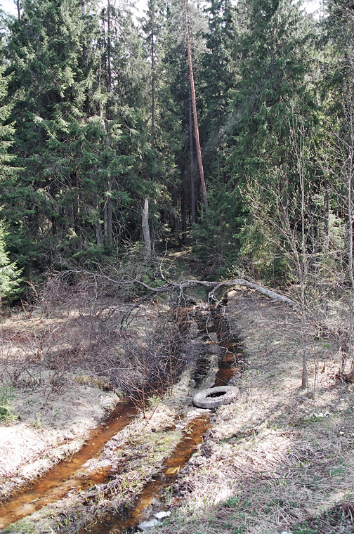2004-05-08 Torjok-3
